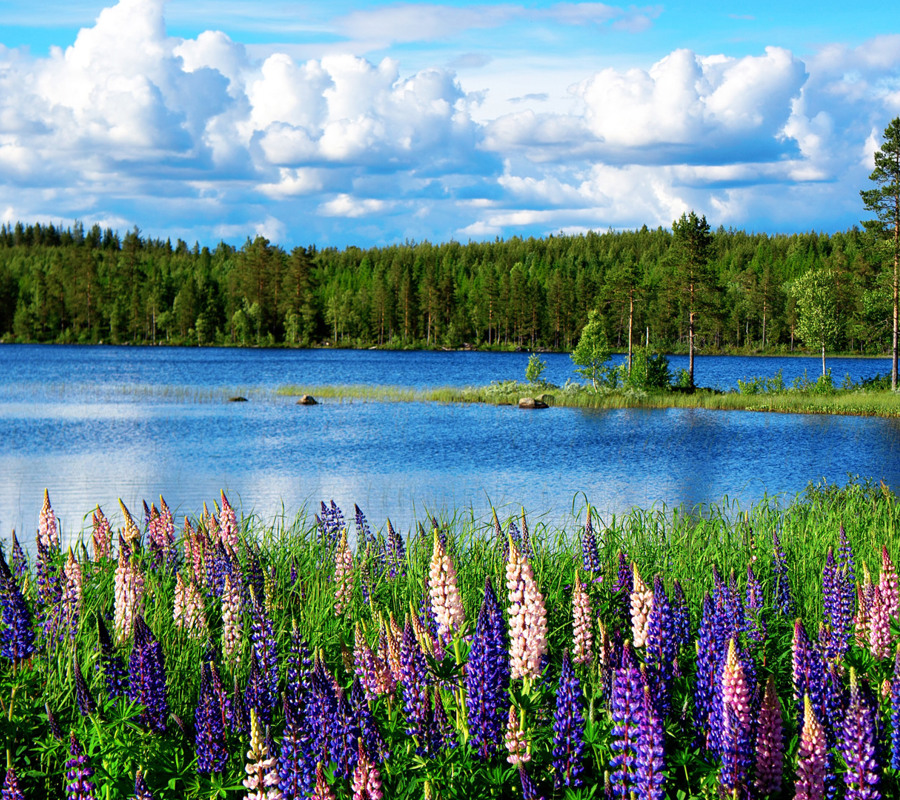 Sommar 1920X1080 Ah00001222